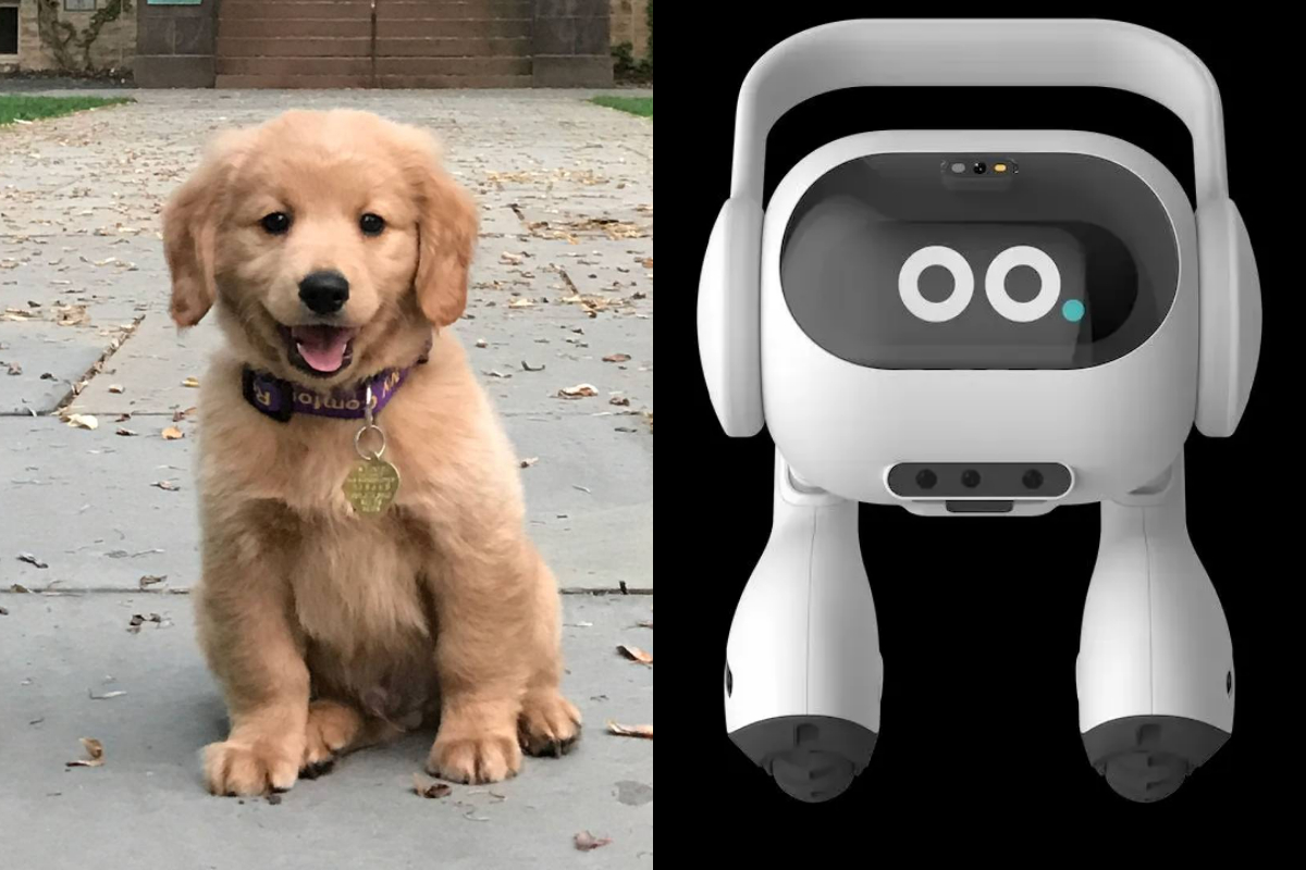 LG Unveils AI Robot for Pet Monitoring and Home Care