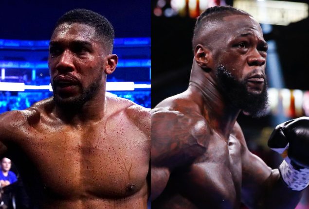 Joshua Explores Potential Superfight with Wilder