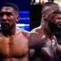 Joshua Explores Potential Superfight with Wilder