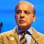 PML-N president to contest elections from Karachi