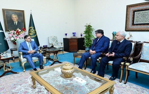 Fawad briefs PM about privatisation process of SEOs