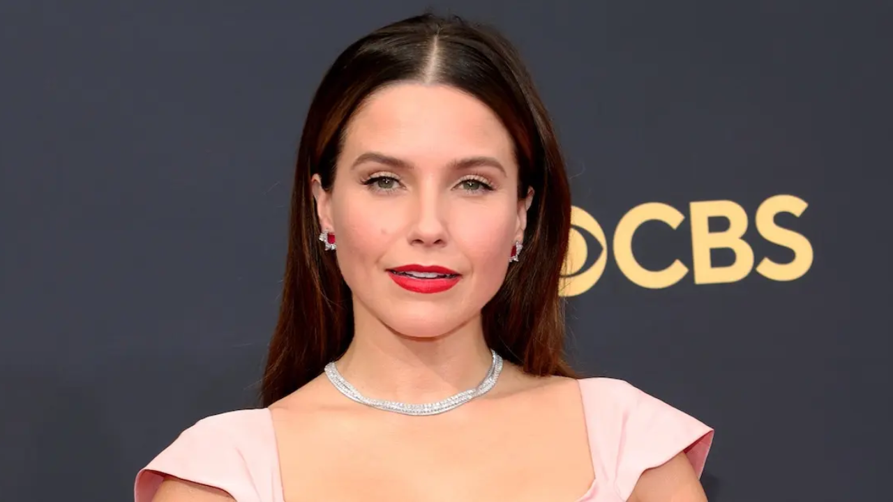 Who is Sophia Bush? Exploring the Life and Career of an Actress