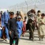 Above 0.4 million illegal Afghans repatriate so far
