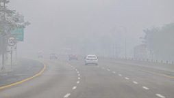 motorway fog