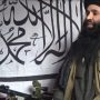TTP key commander held in Mardan operation