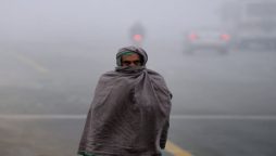 Cold wave to grip most parts of country: PMD