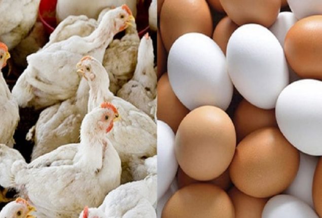 Chicken Egg Prices in Pakistan – Govt ends tax exemptions on feed