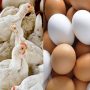 Chicken and egg prices in Pakistan