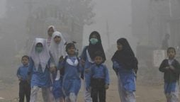 Is Punjab extending schools winter vacations for another week?