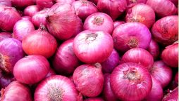 Onion prices in Pakistan
