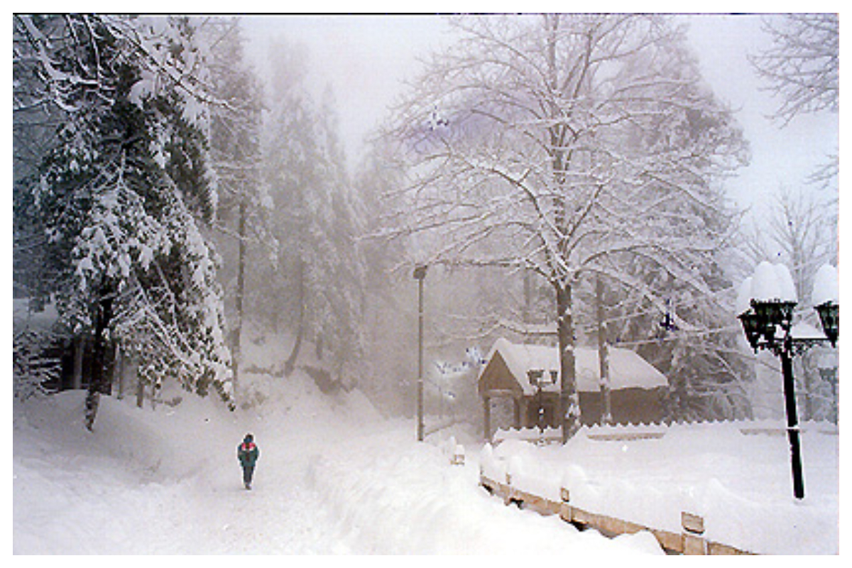 Peshawar, Khyber Pakhtunkhwa expecting more Rain & Snowfall