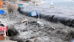 Major earthquake triggers tsunami warnings in Japan