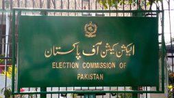 Elections