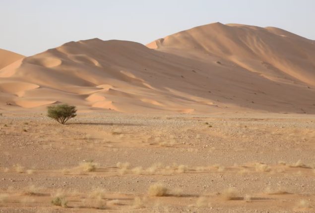 Lost in Rub' al Khali: UAE man found alive after 3 days in Saudi desert