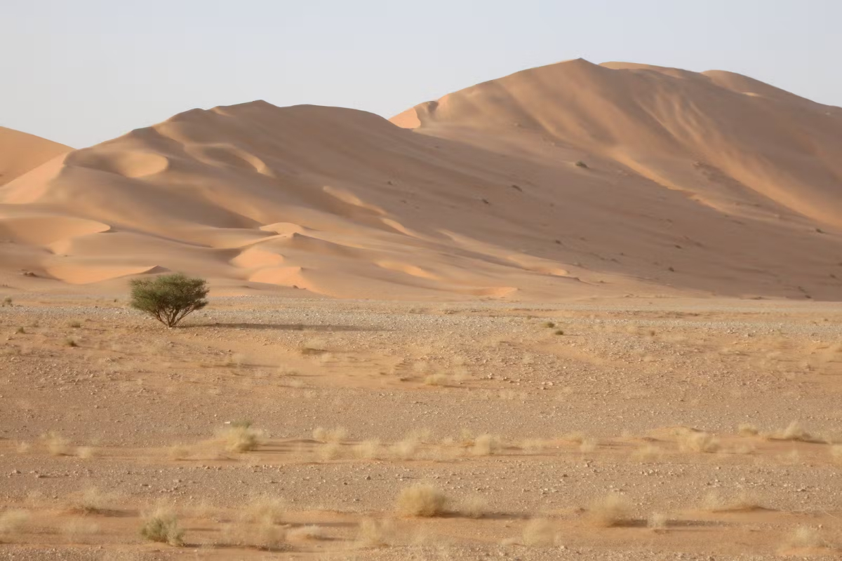 Lost in Rub' al Khali: UAE man found alive after 3 days in Saudi desert