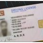 Islamabad Capital Police launches virtual driving license service