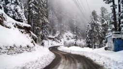 Weather update Peshawar