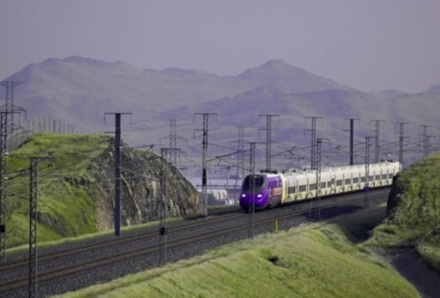 Desert blooms again: Makkah’s vegetation soars over 600% thanks to rain