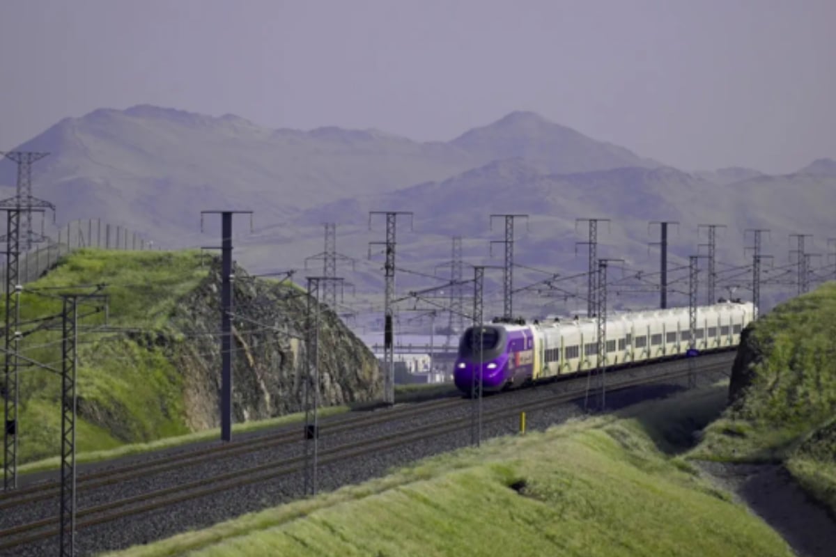 Desert blooms again: Makkah's vegetation soars over 600% thanks to rain