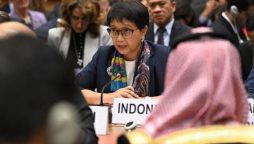 Indonesian foreign minister criticizes west's 'double standards' over Palestine