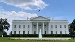 Former White House interns urge Biden for immediate Gaza ceasefire