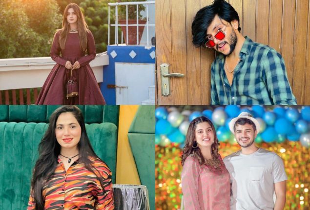 Meet the Top 15 Pakistani TikTokers of 2024