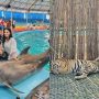 Iqra Kanwal and Areeb Pervaiz creates memorable honeymoon moments in Phuket Park