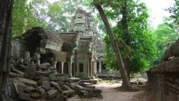 Massive ancient city found underneath the forest of Amazon