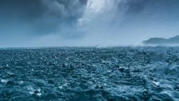 Study shows alarming ocean situation due to global warming
