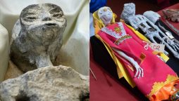 NASA Solves Mystery of Bizarre 'Alien Mummies'