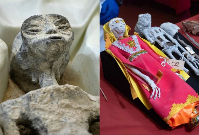 NASA Solves Mystery of Bizarre 'Alien Mummies'