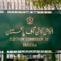 ECP dismisses proposal to postpone elections