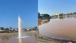 Dubai tea-colored pond water near Emirates mall raises people’s concerns