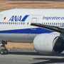 Japan flight Forced to return as ‘Drunk’ passenger bites crew member