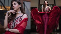 Sonya Hussyn radiates elegance in a red dolled-up look
