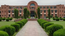 IIUI