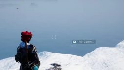 Tips on Finding Pure Quartz in Palworld