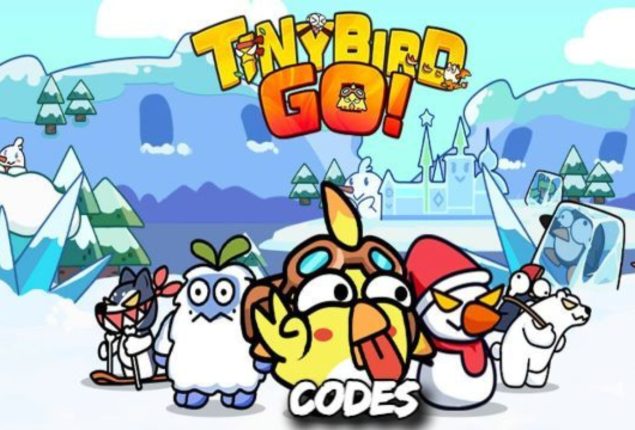 Tiny Bird GO Codes for January 2024