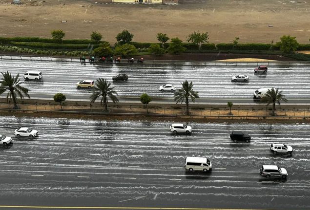 Heavy rains in Dubai and Sharjah, scores of birds seek shelter by roadsides