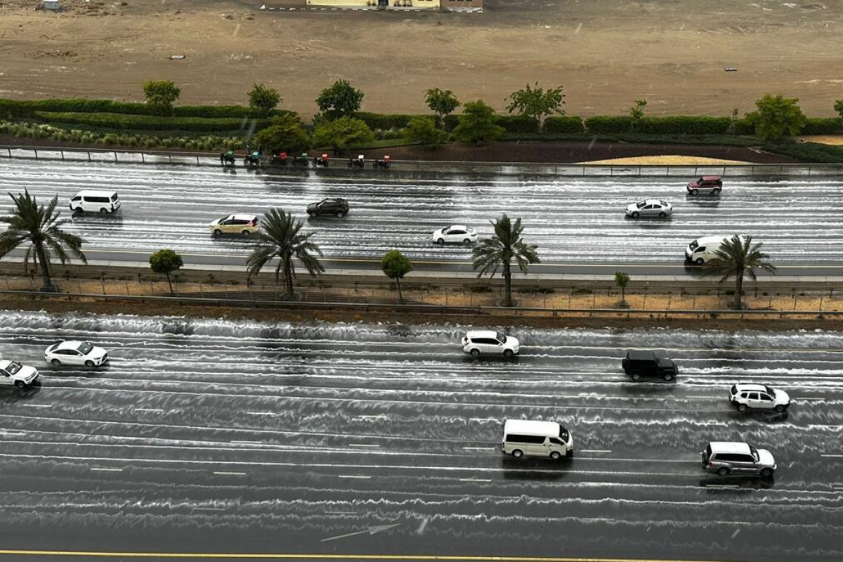 Heavy rains in Dubai and Sharjah, scores of birds seek shelter by roadsides