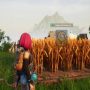 How to Get Wheat Seeds in Palworld