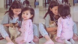 Watch Video: Shahroz Sabzwari shares adorable moments of his two daughters