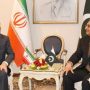 Pakistan-Iran pledge mutual security