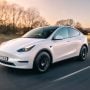 Tesla Halts Production Amid Red Sea Shipping Crisis