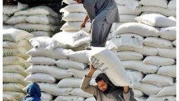 USC Increased Flour Prices in Pakistan