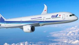 Cockpit Crack Forces Japan Flight to Turn Back