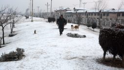 Quetta, Balochistan latest weather update today