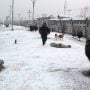 Quetta, Balochistan latest weather update today