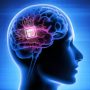Brain Chip Breakthrough: Promising Depression Treatment