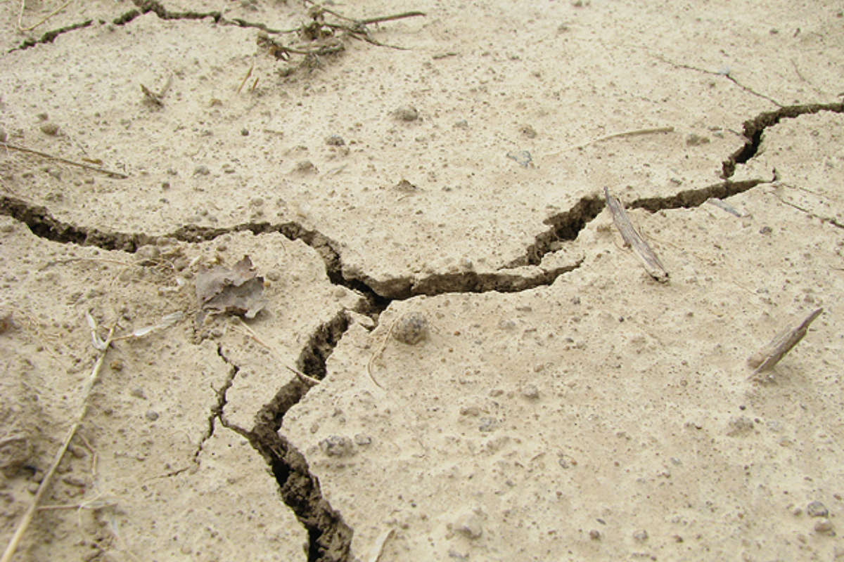 Earthquake in Peshawar